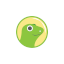 coin list